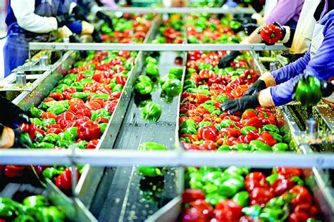 Food Processing Reforms Vital For Jobs And Nutrition The Statesman