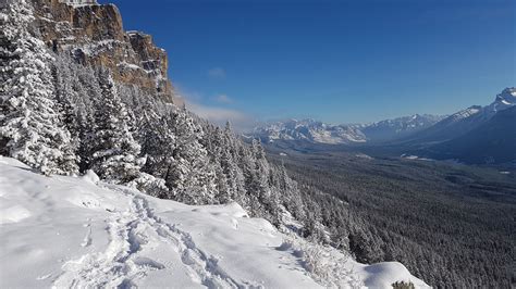 Castle Mountain Lookout Trail Alberta Canada Alltrails
