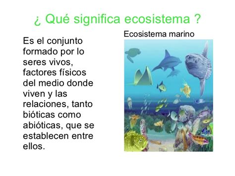 Se trata de una unidad compuesta de organismos interdependientes que comparten el mismo hábitat. Ecosistemas