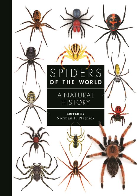 Spiders Of The World Princeton University Press