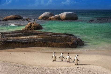 12 Awesome Things To Do In South Africa The Planet D