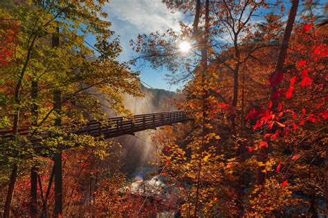 Fall Colors In Georgia 2023 When And Where To Get The Best Views