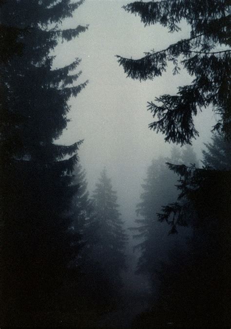 Alternative Background Boho Dark Foggy Forest Grunge Hippie