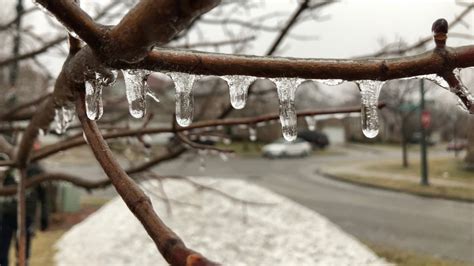 Freezing Rain Warning In Effect For Waterloo Region Ctv News