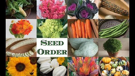 Ordering Seeds For The Garden New Seed Varieties Pictures And