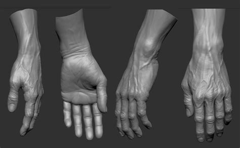 Hand Zbrush Anatomy For Artists