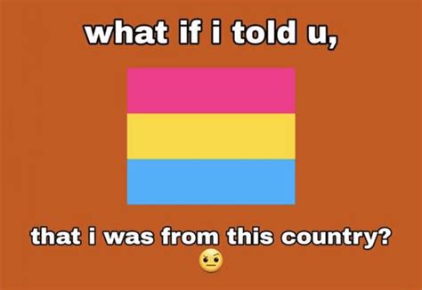 Youll Love These Pansexual Memes