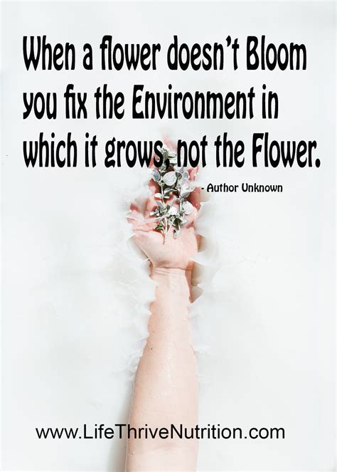 When A Flower Doesnt Bloom You Fix The Environment In Which It Grows