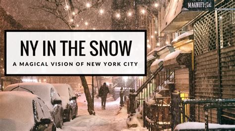 New York In The Snow Book Vivienne Gucwa Youtube