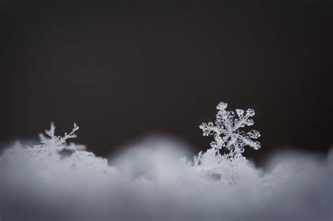 Wallpaper Snowflake Winter White Snow Detail Macro Ice
