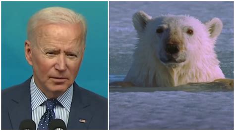Biden Suspends Trump Era Drilling Leases In Alaskas Arctic Refuge