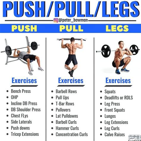 Push Pull Legs Weight Training Workout Schedule For Days GymGuider Com Weight Training