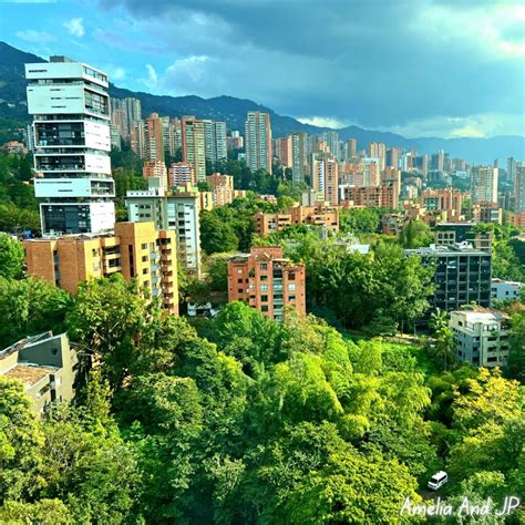 Medellín Colombia A Jungle With A City In It