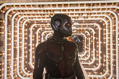 Avengers Endgame Heres Why Ant Man Is Very Crucial To The Mcu