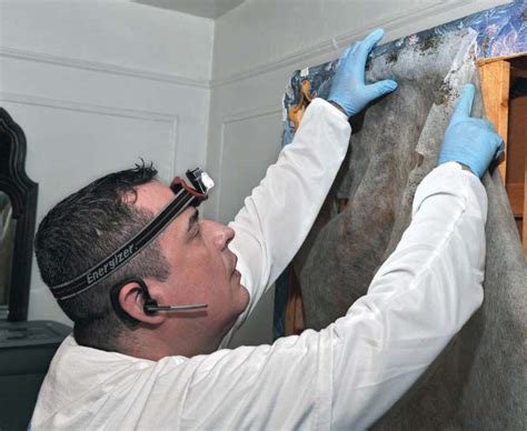 They cause enormous discomfort and embarrassment, but contact beach pest control for the best new york city bed bug removal treatments. New York Bed Bug Detection Service for Homes and ...