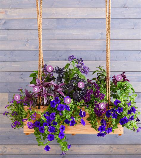 Check spelling or type a new query. 30 Bright and Beautiful Window Box Planters in 2020 (With ...