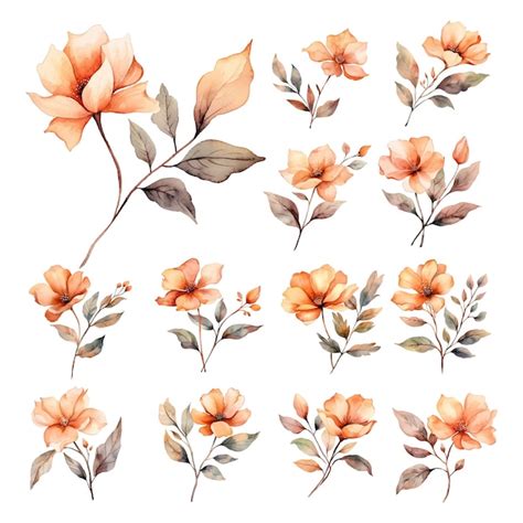 Premium Vector Set Of Aesthetic Brown Flower Watercolor