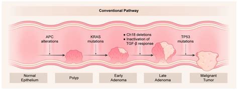 Cancers Free Full Text A Multi Omics Overview Of Colorectal Cancer