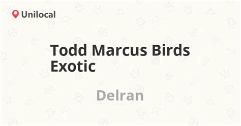 Todd Marcus Birds Exotic Delran 1060 S Chester Ave 7 Reviews