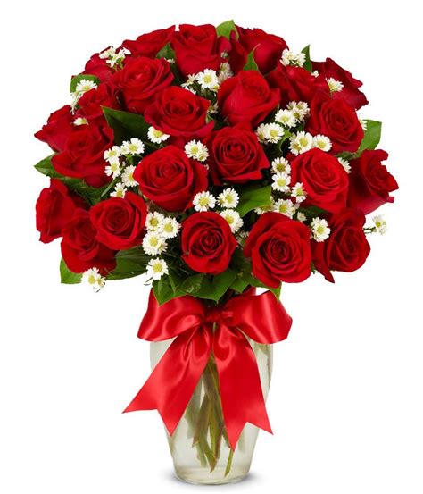 Luxury Two Dozen Red Roses