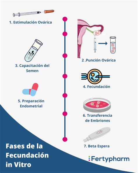 Fecundación In Vitro qué es y su proceso Fertypharm