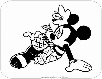 Minnie Mouse Coloring Spring Disneyclips Pineapple Drinking