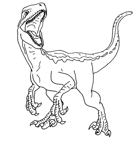 Velociraptor Blue Da Colorare Fiordaliso Disegno Colorazione Peon Cafezog