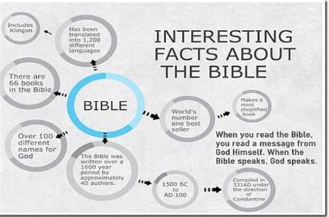Interesting Facts From The Bible Churchgistscom