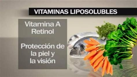 Vitaminas Liposolubles Vídeo Dailymotion