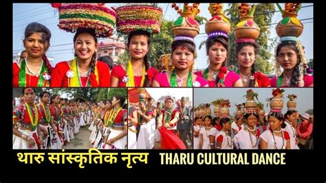 Tharu Cultural Dance Part Ii Bardiya Nepal Youtube