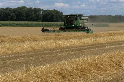 Wheat Harvest Update Life On The Farm With Fvtc