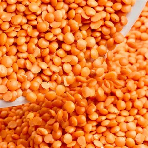 Red Masoor Dal High In Protein Packaging Size 50 Kg At Rs 130kg In