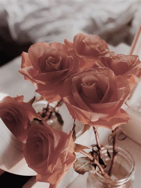 Flowers 🌺 On Twitter Rose Gold Aesthetic Aesthetic Roses Gold Aesthetic