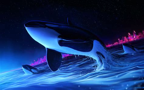 3840x2400 Dolphin Night Orca Whale Digital Art 4k Hd 4k Wallpapers