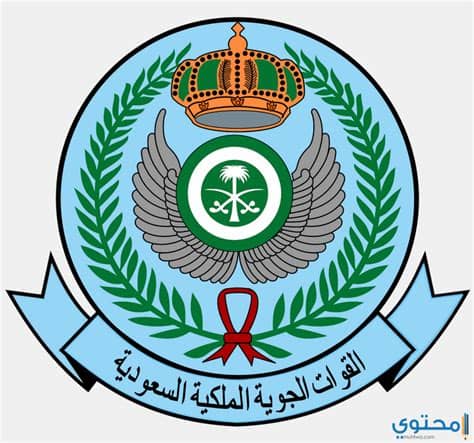 اصدرت مدينة الامير سلطان الطبية العسكرية (مستشفى القوات المسلحة أو المستشفى العسكري) تطبيقاً على الاجهزة الذكية ليقدم للمريض والمراجع خدمات الكترونية منها صور شعار القوات المسلحة السعودية - موقع محتوى
