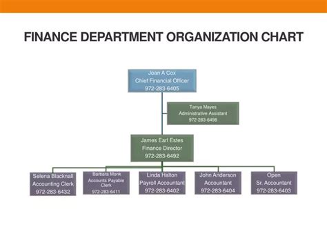 Finance Department Structure Chart Businesser