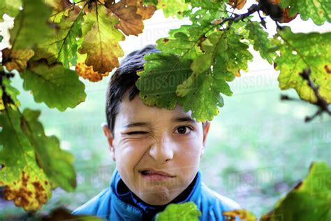 Head And Shoulders Portrait Of Boy Looking At Camera Through Leaves Of