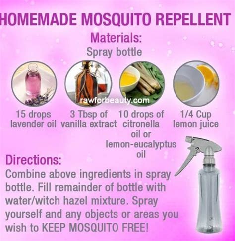 Homemade Mosquito Repellant Mosquito Repellent Homemade Repellent