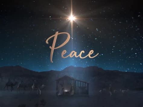 Starry Night Nativity Peace Life Scribe Media Sermonspice