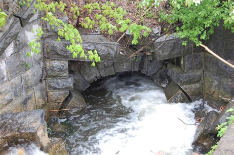 200 Year Old Erie Canal Site Wayne County Life