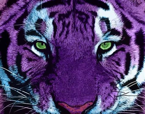 Pin By Mindbenders On Purple Purple Animals All Things Purple
