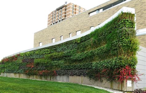 Living Walls Become More Commonplace As People Seek Biophilic Spaces