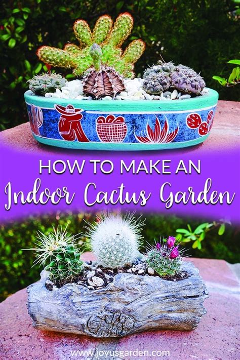 How To Make An Indoor Cactus Garden Joy Us Garden