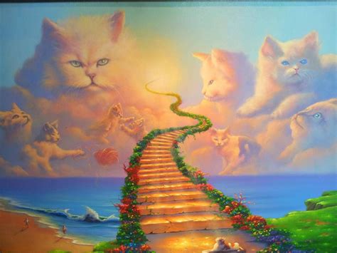 To Catz Heaven Pleaze Cat Heaven Rainbow Bridge Angel Cat