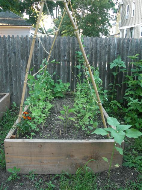 Growing carrots in raised beds will banish forked roots forever. Tagan's Kitchen: Building Raised Bed Gardens