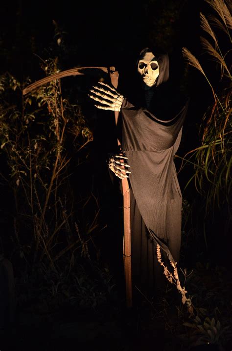 Grim Reaper Skeleton Halloween Decorations Halloween Pictures Happy