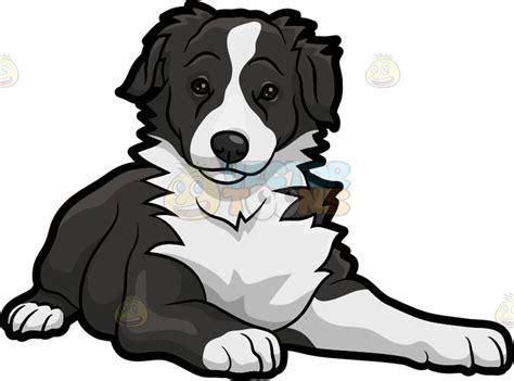 An Adorable Border Collie Dog Dog Clip Art Dog Drawing Collie Dog