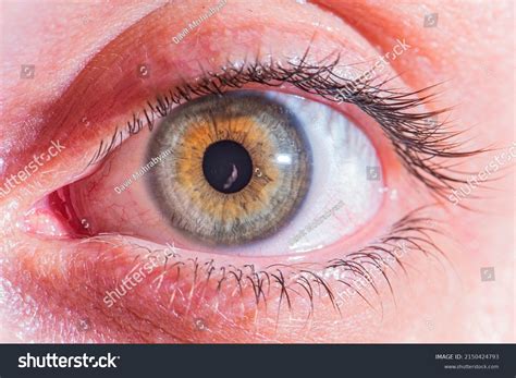 Close Human Eye Macro Photography Stock Photo 2150424793 Shutterstock