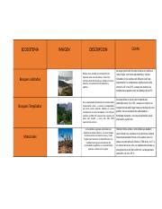 Cuadro Comparativo Ecosistemas Docx Ecosistema Bosques Nublados Bosques Templados Matorrales