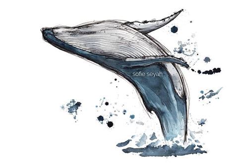 #humpback whales #humpback whale #singing #underwater #sound #animals #marine biology. Humpback Whale Breach - Sofie Seyah Illustration (@sofie ...